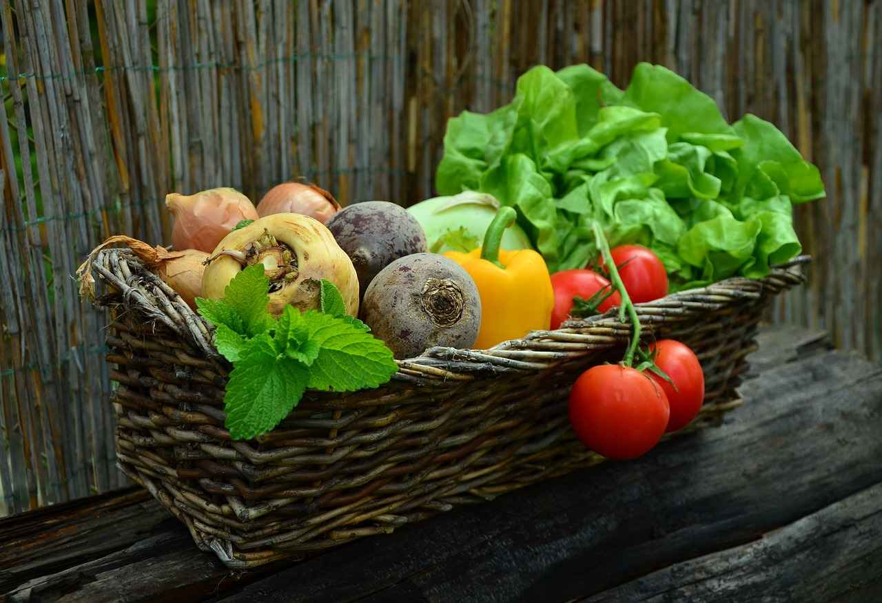 Can Vegetable Choppers Really Save You Time in the Kitchen? 2 Types of Vegetable Choppers