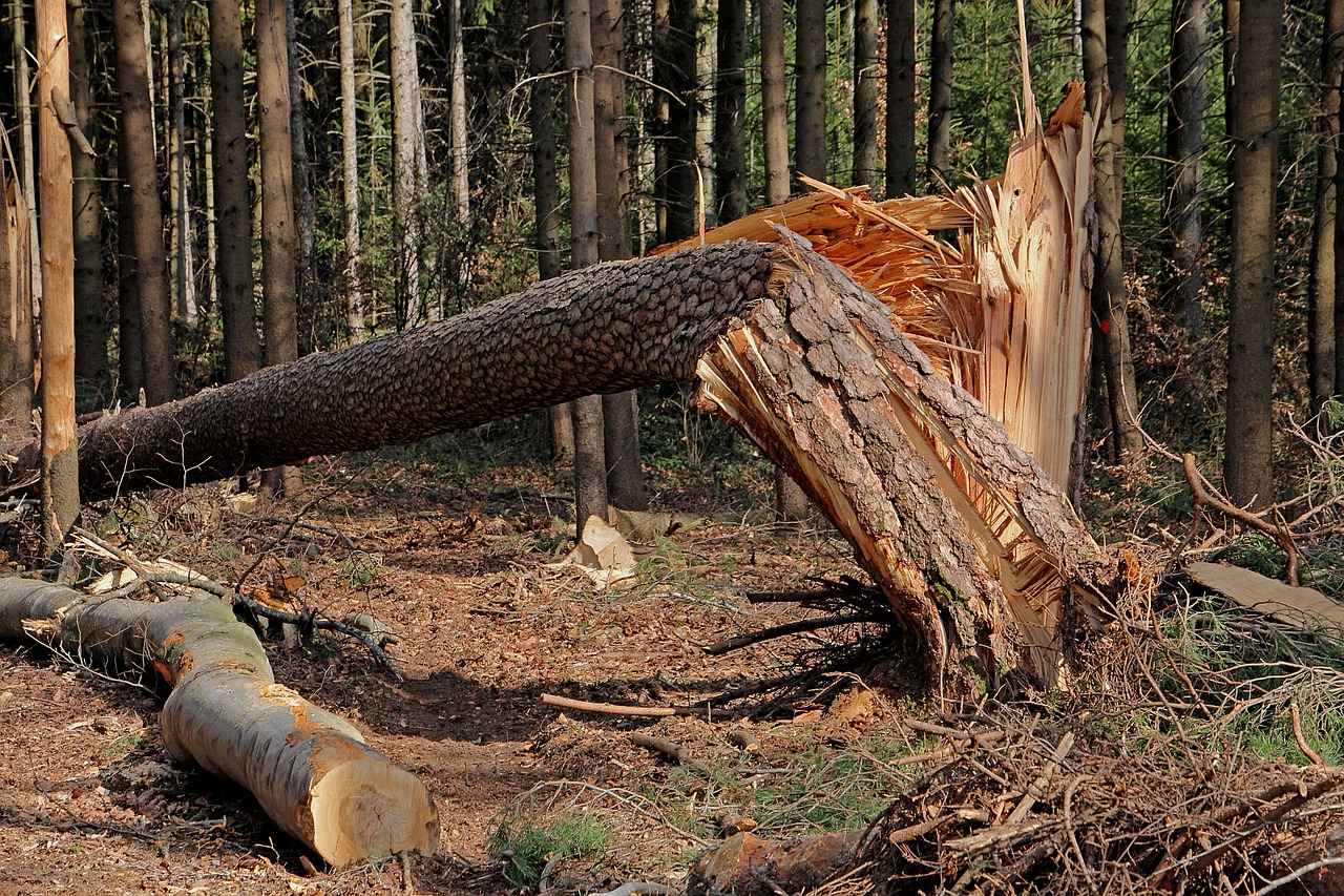 Can Water Damage Your Jewelry? What You Need to Know 3 What Are the Signs of Water Damage in Jewelry?