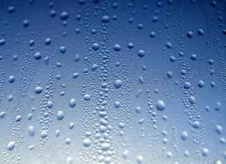 Can Water Fasting Help With Inflammation and Autoimmune Conditions? Can Water Fasting Help With Inflammation and Autoimmune Conditions?