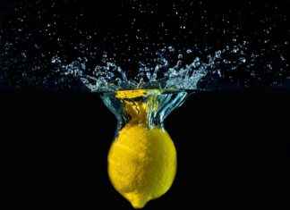 Can You Drink Lemon Water While Fasting? Can You Drink Lemon Water While Fasting?