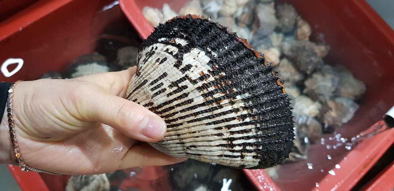 Can You Drink Water Before a Fasted Blood Test?