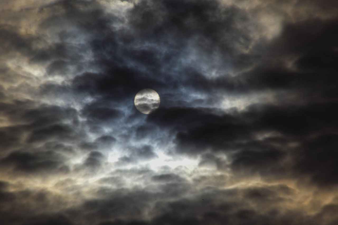 Why Is Fasting Important for Blood Tests?