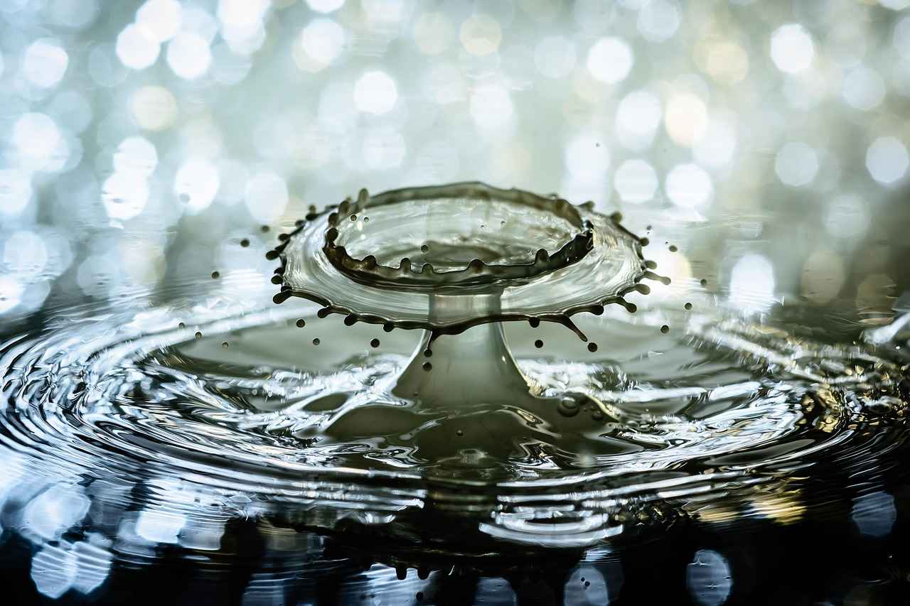 Can You Drink Water When Fasting for a Blood Test? 3 Can You Drink Water While Fasting?