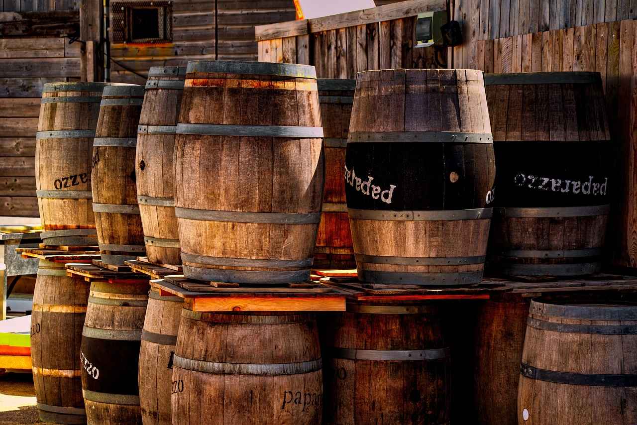 Can You Really Do a Barrel Roll 20 Times? Try It Now 4 Can Anyone Perform a Barrel Roll?