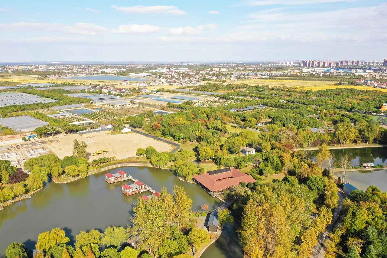 Can You Really Do a Barrel Roll 20 Times? Try It Now 5 The Safety Considerations of Barrel Rolls