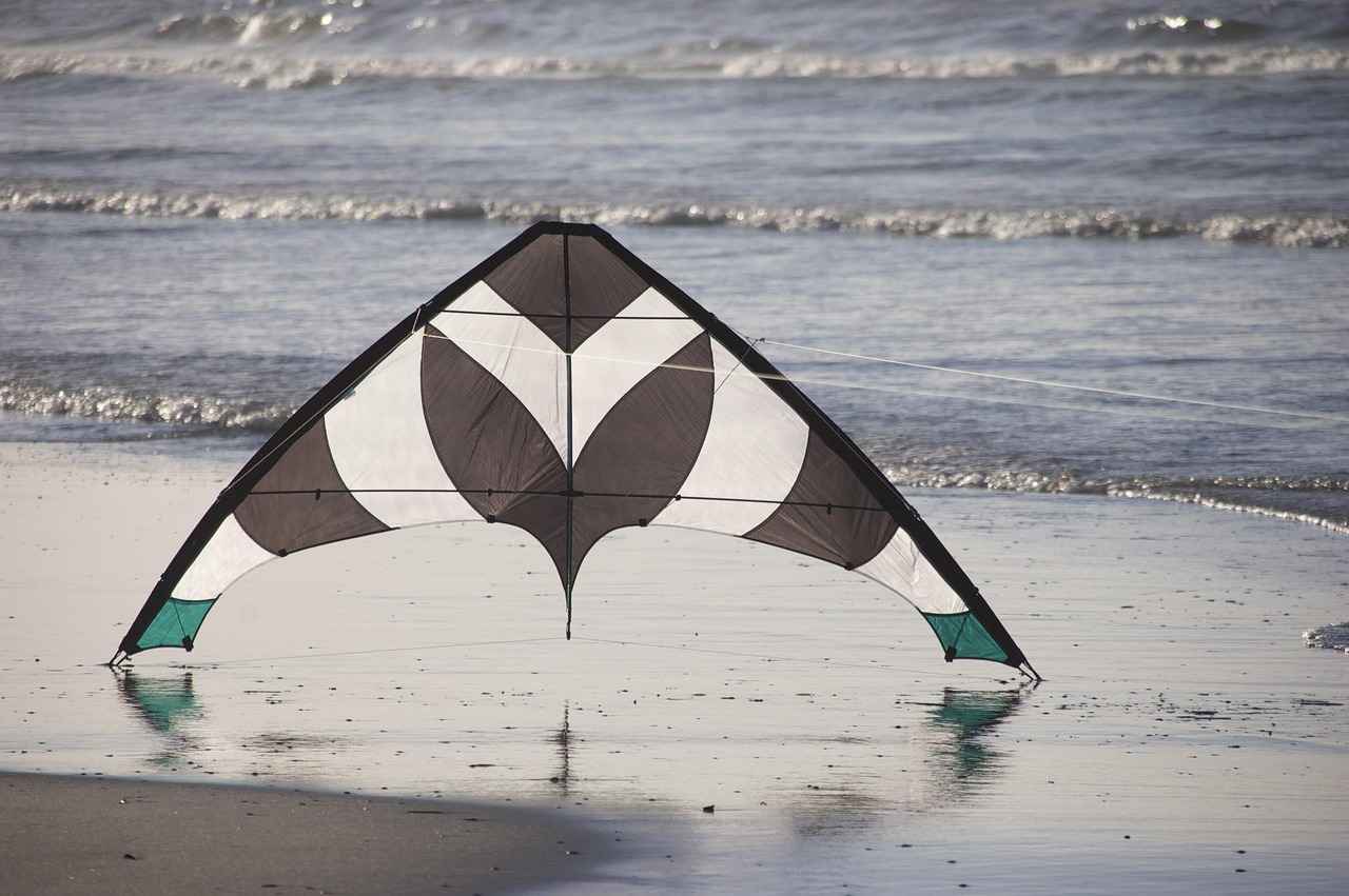 Can You Really Do a Barrel Roll 20 Times? Try It Now 7 Famous Barrel Roll Performances