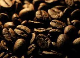 Can You Use a Portable Coffee Maker on a Camping Trip? Find Out Here Can You Use a Portable Coffee Maker on a Camping Trip? Find Out Here