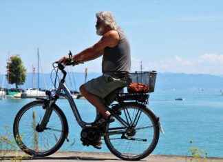 Cannondale Bikes 2025: Are They Still the Best in the Market? Cannondale Bikes 2025: Are They Still the Best in the Market?