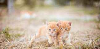 Captain Sex Position: The Move Everyone Is Talking About Captain Sex Position: The Move Everyone Is Talking About