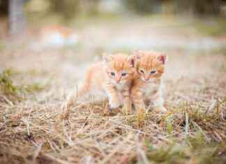 Captain Sex Position: The Move Everyone Is Talking About Captain Sex Position: The Move Everyone Is Talking About