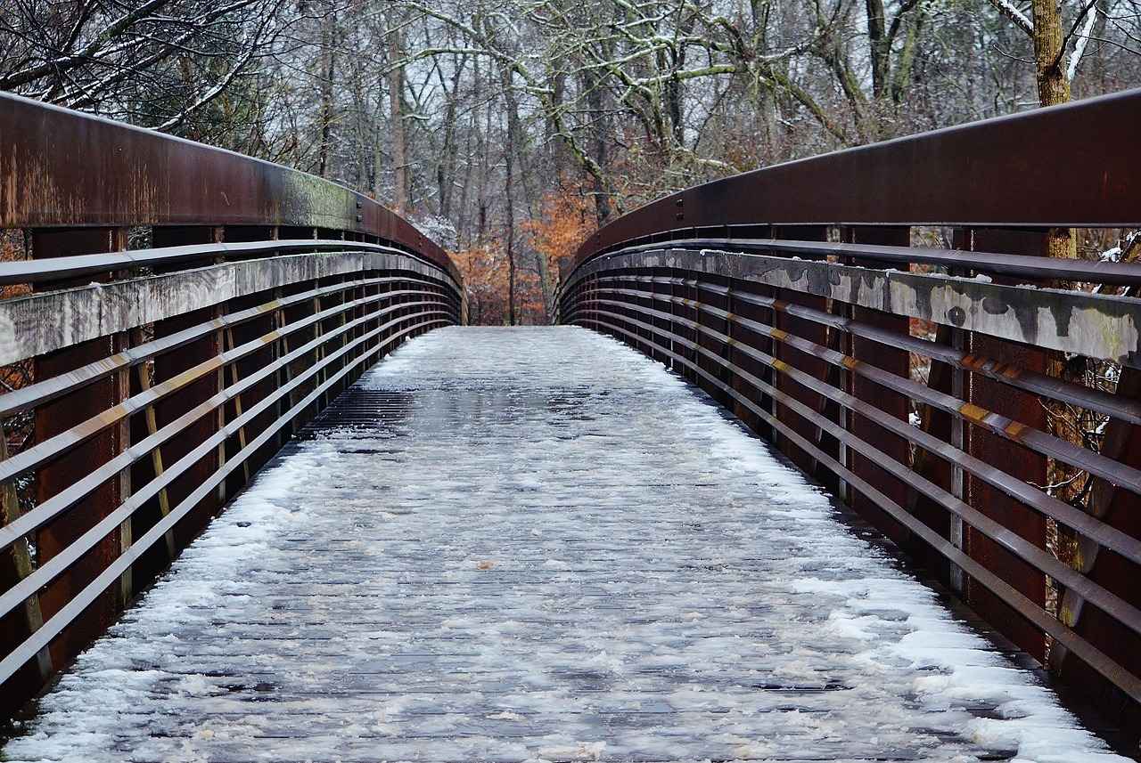 Carolina Panthers vs Philadelphia Eagles Match Player Stats 4 Defensive Standouts