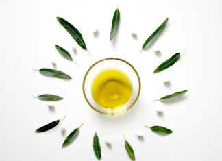 CBD and Memory: What You Should Know CBD and Memory: What You Should Know