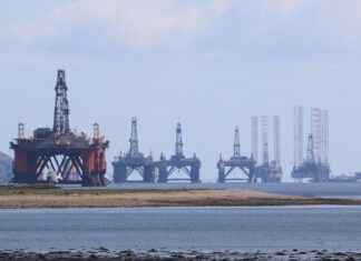 CBD as a Natural Food Supplement CBD as a Natural Food Supplement