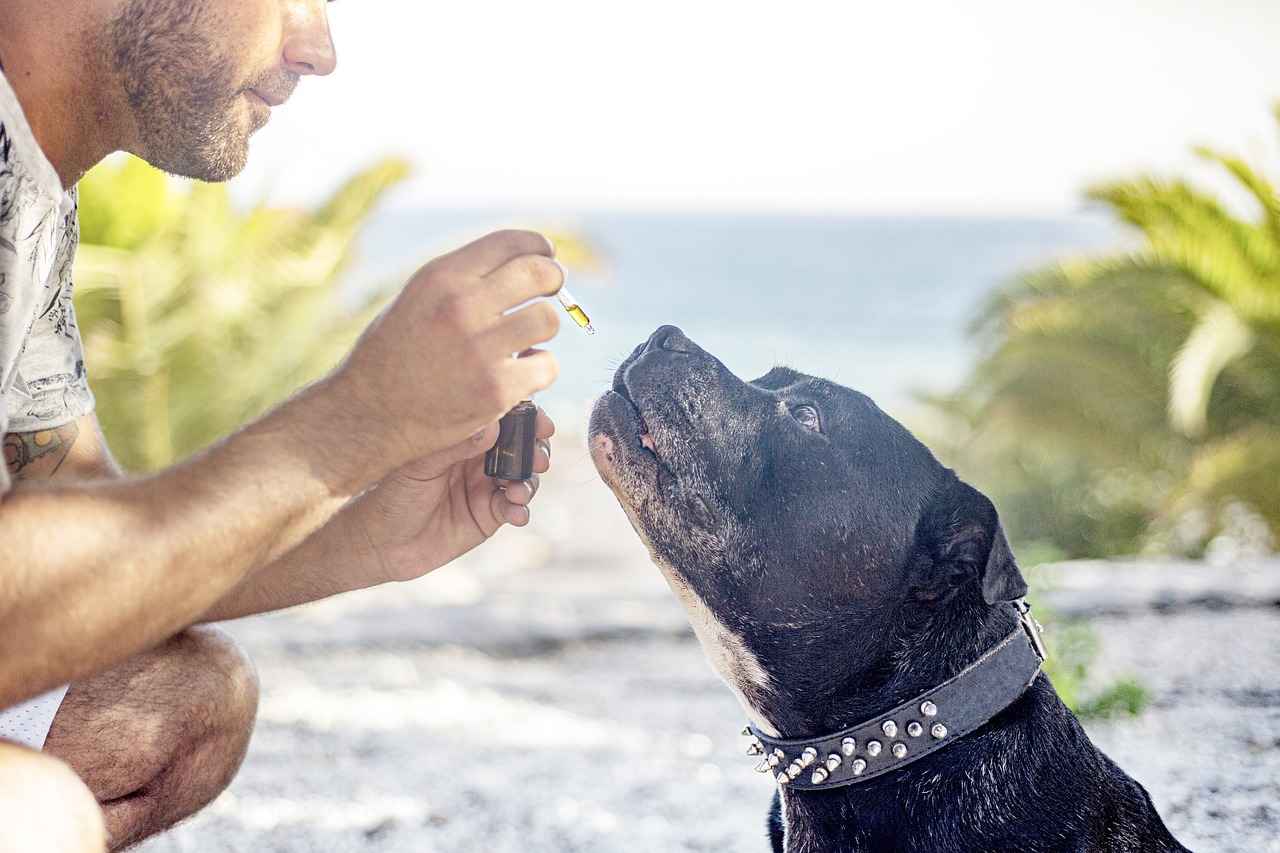 Potential Side Effects and Considerations