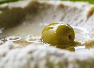 CBD for Better Digestion and Gut Health CBD for Better Digestion and Gut Health