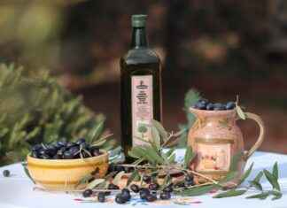 CBD for Cats: What You Should Know CBD for Cats: What You Should Know