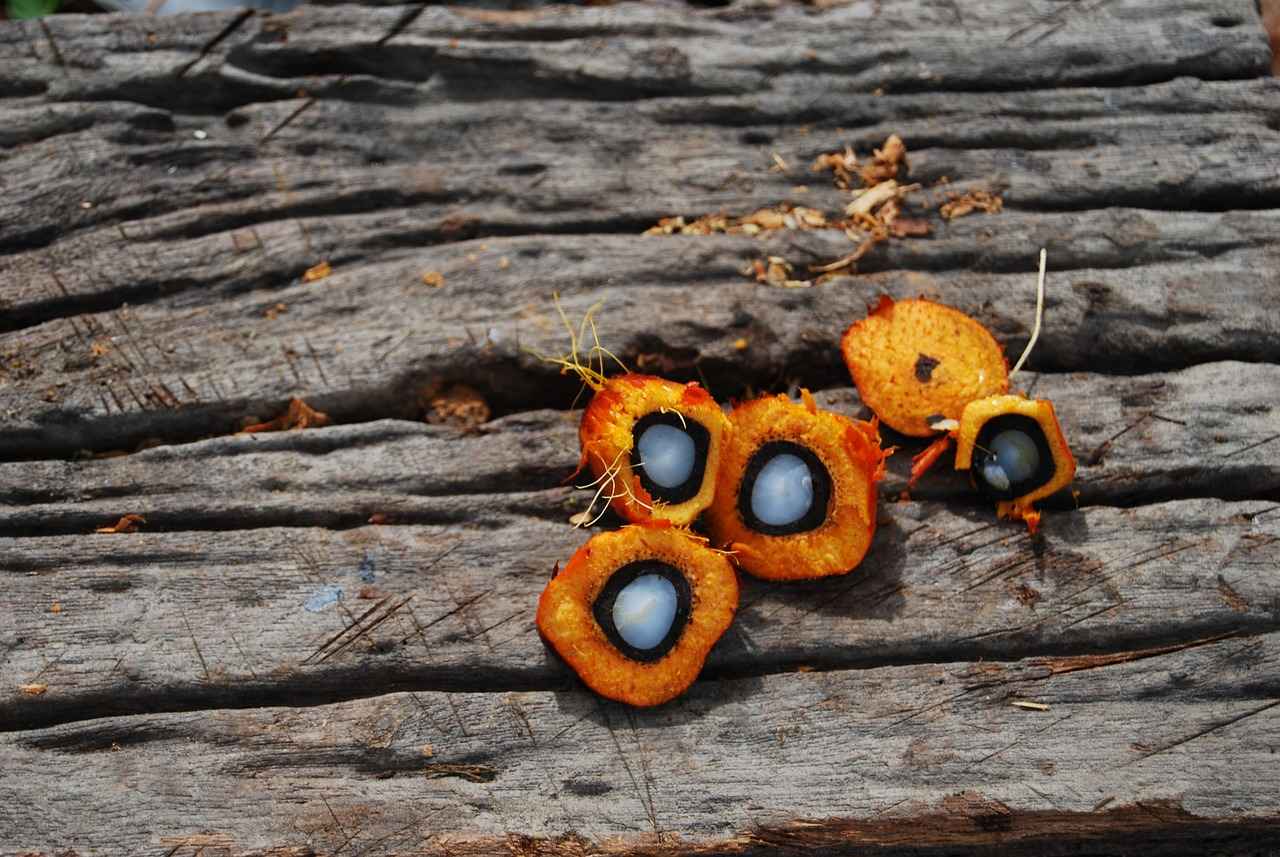 CBD for Flexibility and Joint Health 3 Forms of CBD: Which is Best for Joint Pain?