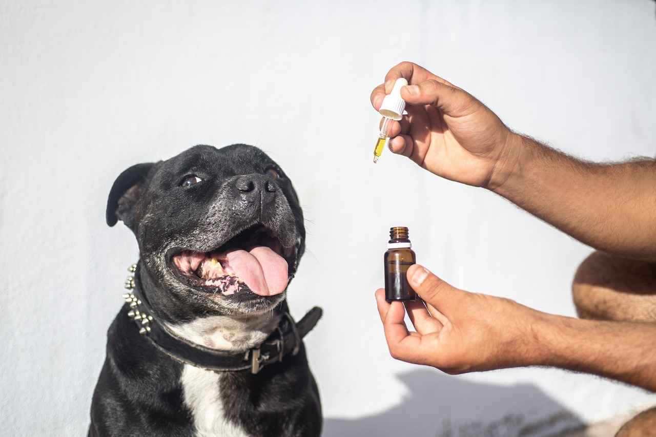 Scientific Evidence Supporting CBD for Pain Relief