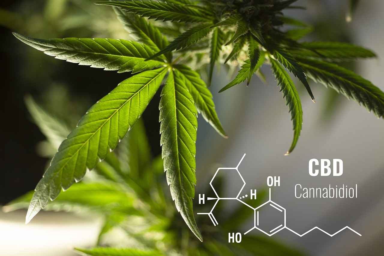 Conclusion: The Future of CBD in Skincare
