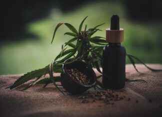 CBD for Sleep Disorders: What You Need to Know CBD for Sleep Disorders: What You Need to Know