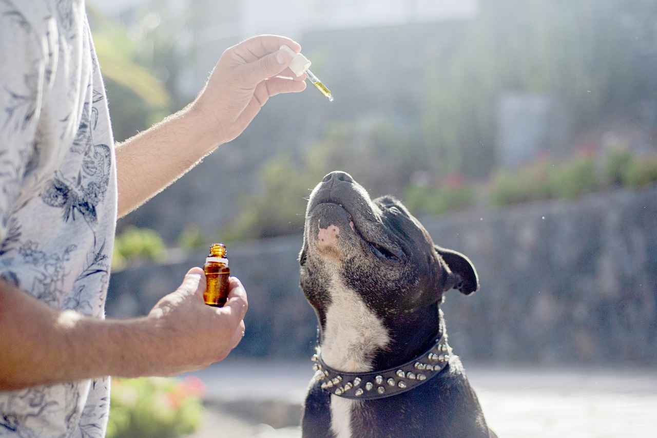 Potential Side Effects of CBD Facial Oils