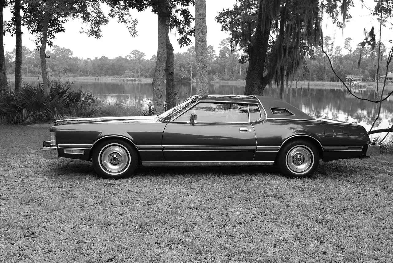 Aftercare and Maintenance of Hair Transplants