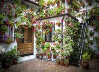 Cell Phone Holders for Motorcycles: Keep Your Ride Safe and Hands-Free Cell Phone Holders for Motorcycles: Keep Your Ride Safe and Hands-Free