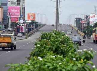 Challenges faced in Kochi Greenfield Bypass construction challenges-faced-in-kochi-greenfield-bypass-construction