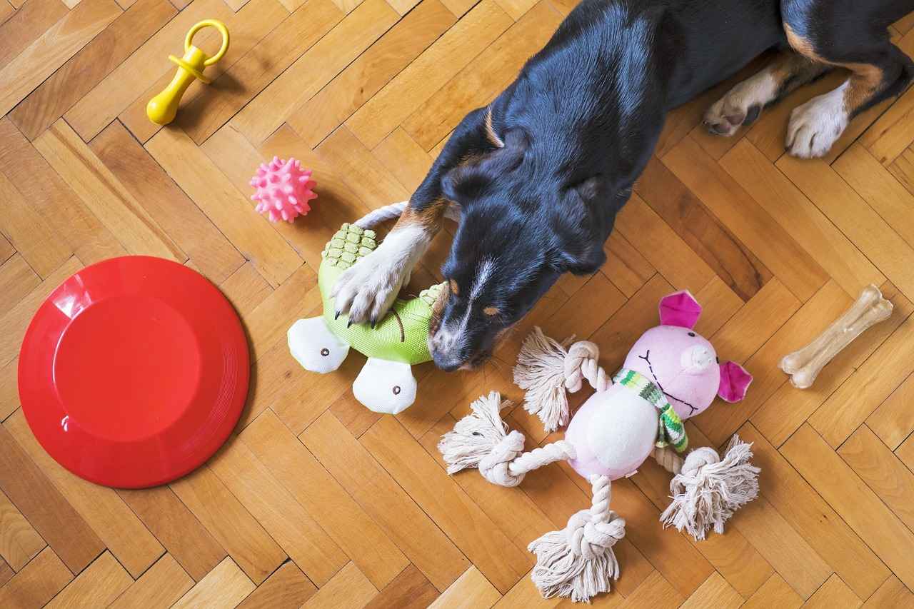 Chew Proof Dog Beds: Durable Options for Tough Dogs 4 Choosing the Right Size and Style
