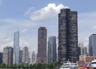 Chicago Bears vs. Minnesota Vikings: Key Stats and Game Recap Chicago Bears vs. Minnesota Vikings: Key Stats and Game Recap