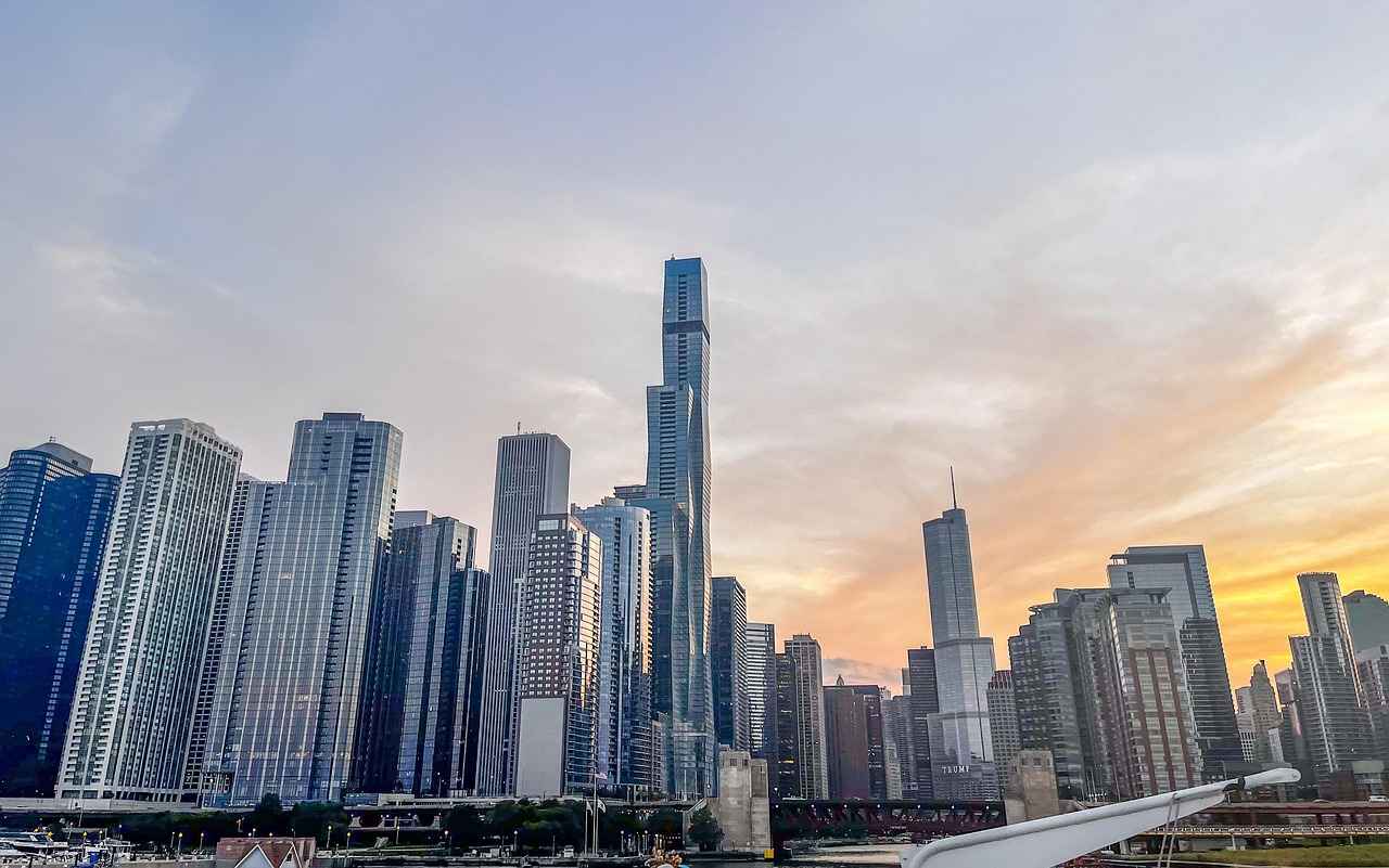 Key Players of the Wild