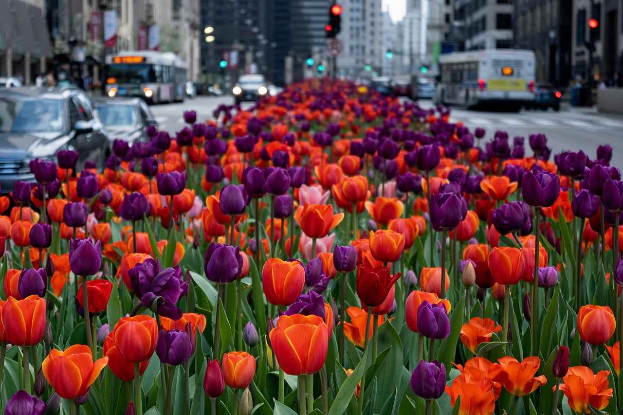 Head-to-Head Matchup History