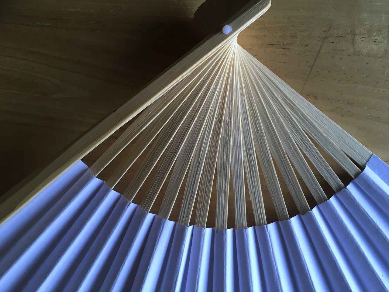 Fan Engagement and Atmosphere