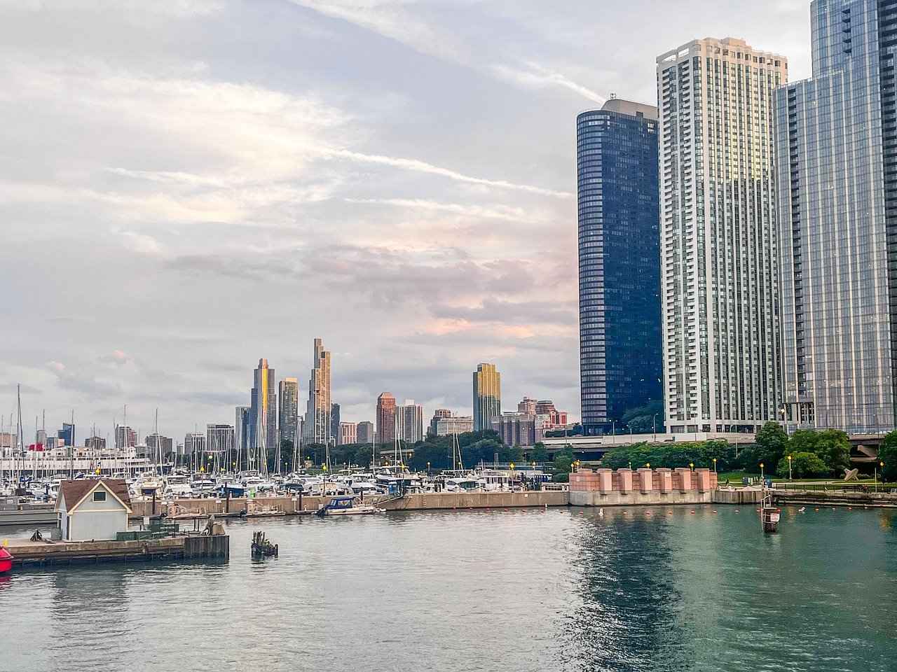 Overview of the Chicago White Sox