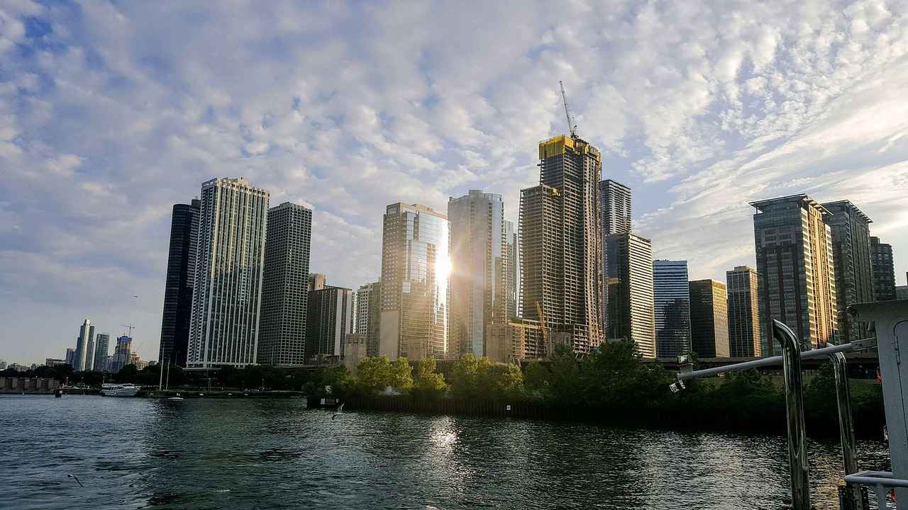 Overview of the Detroit Tigers