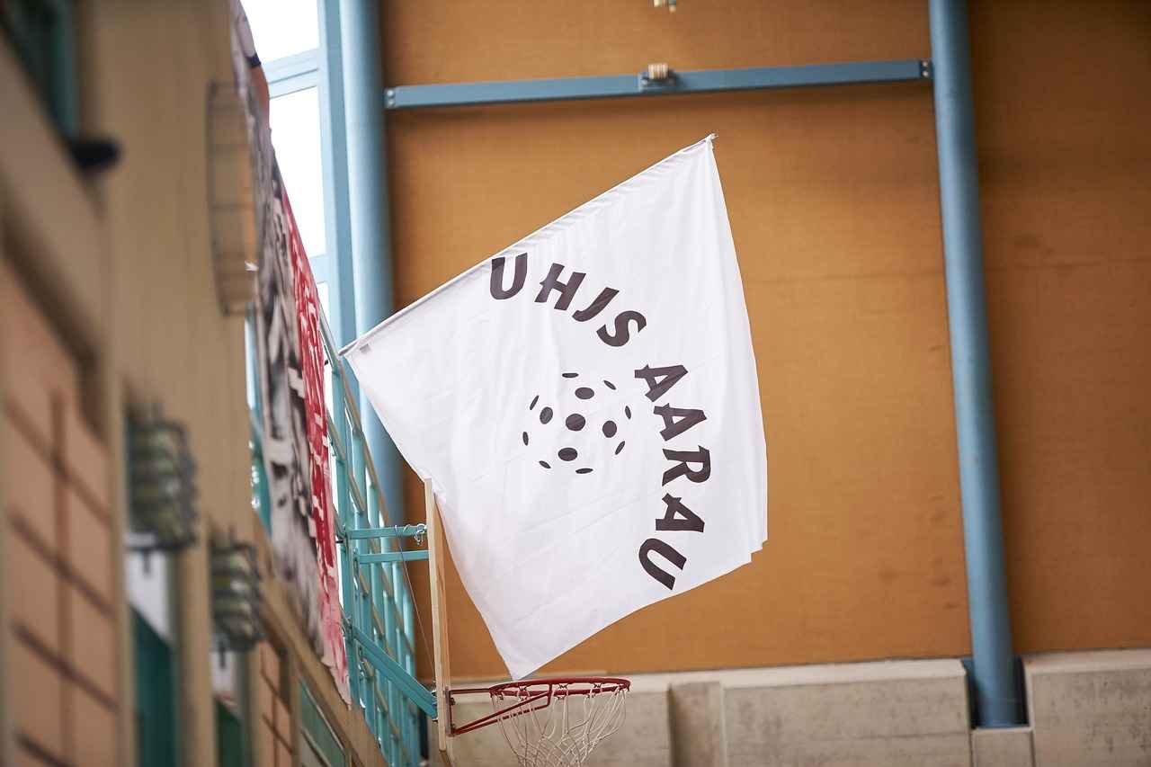 Viewer Accessibility and Streaming Platforms