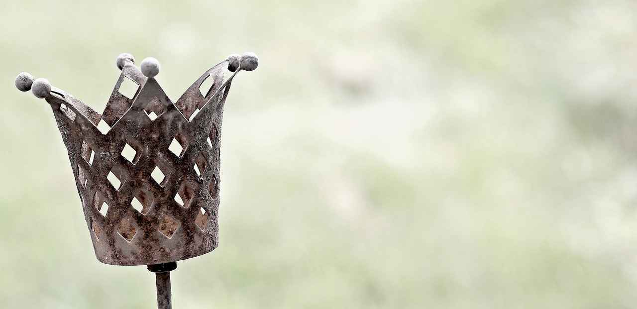 Fan Community and Engagement