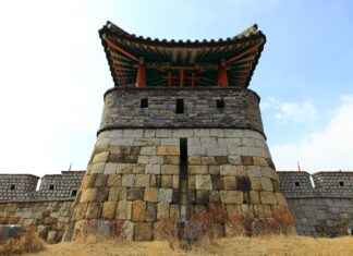 Chounyuu: The Cultural Fascination Behind This Term Chounyuu: The Cultural Fascination Behind This Term