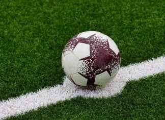 Cincinnati Bengals vs. Cleveland Browns: Player Stats and Game Highlights Cincinnati Bengals vs. Cleveland Browns: Player Stats and Game Highlights