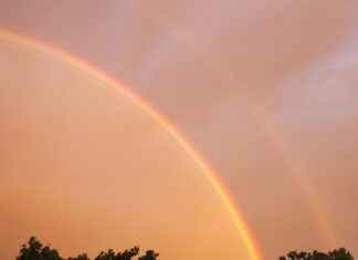 Classic & Durable Wood Double Bed Design Photos for Inspiration Classic & Durable Wood Double Bed Design Photos for Inspiration