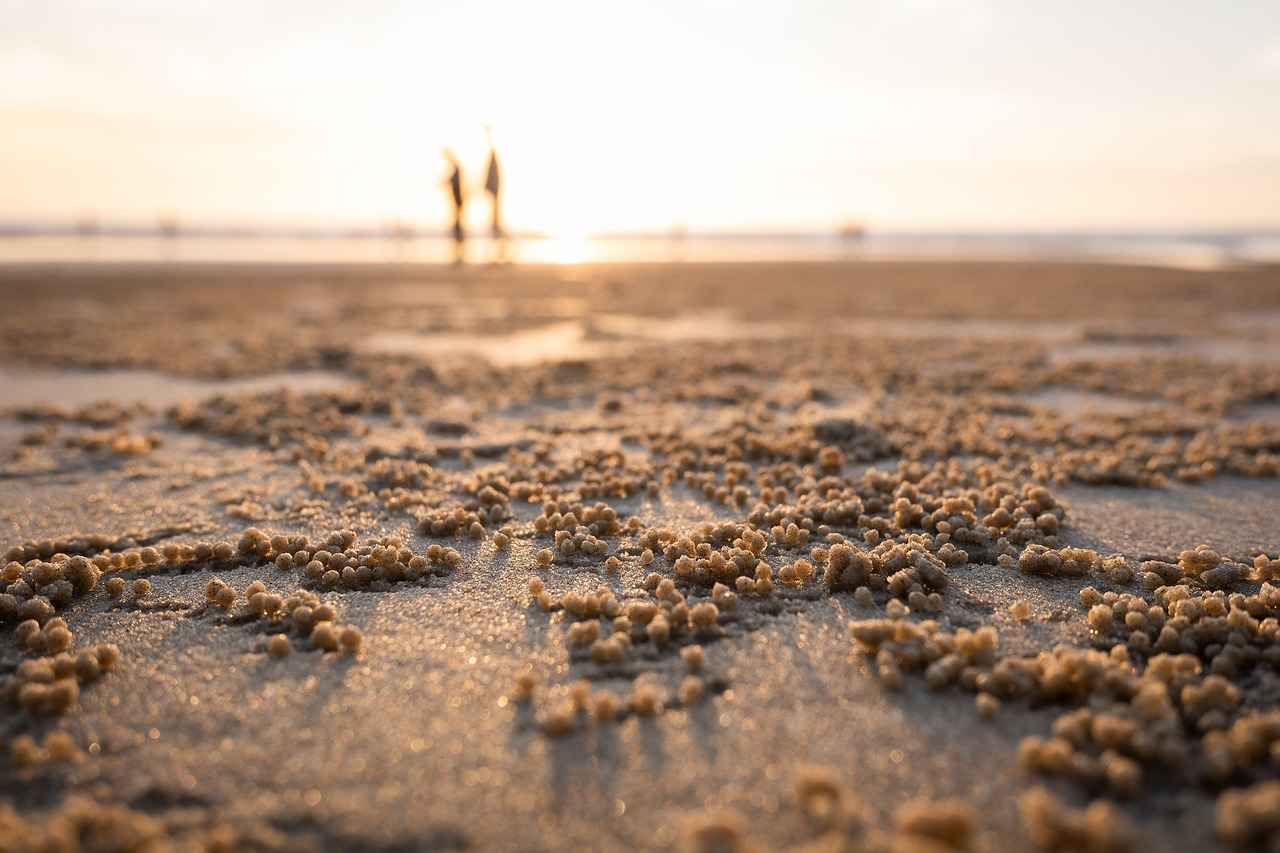 Wide Receivers: Catching the Action