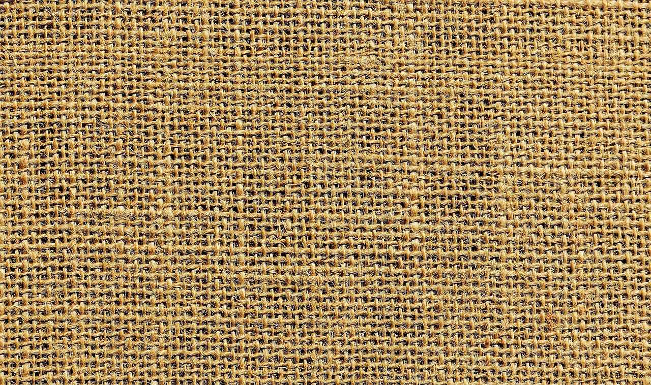 Wide Receiver Highlights