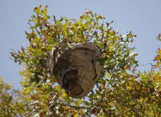 Columbus Blue Jackets vs. New Jersey Devils: Player Stats and Game Insights Columbus Blue Jackets vs. New Jersey Devils: Player Stats and Game Insights