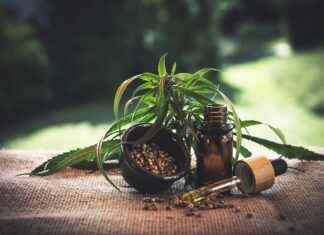 Combining CBD with Other Natural Remedies Combining CBD with Other Natural Remedies