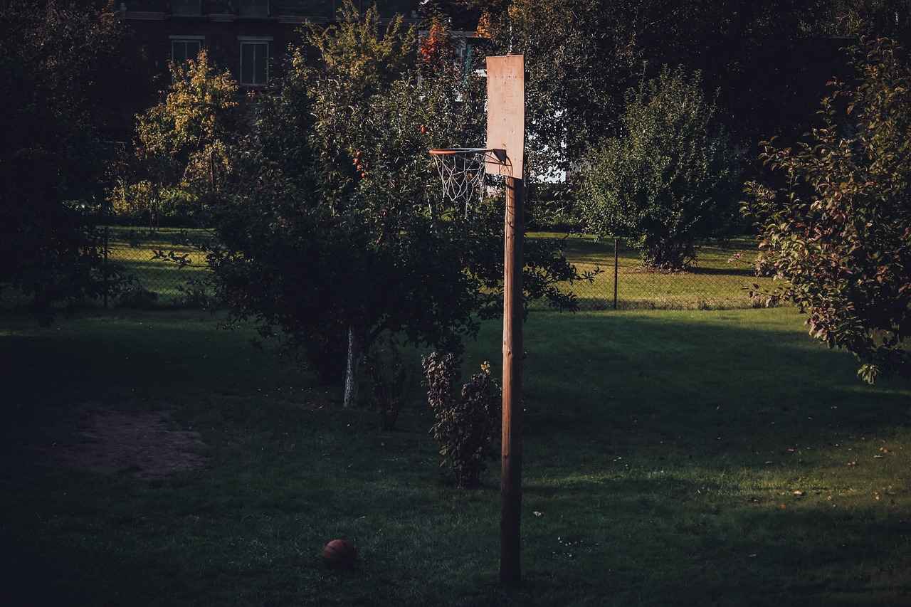 Connecticut Sun vs Indiana Fever Match Player Stats 12 Offensive Strategies of the Indiana Fever