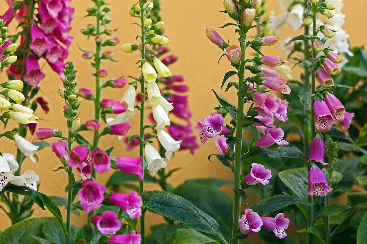 DIY Bed Back Side Projects