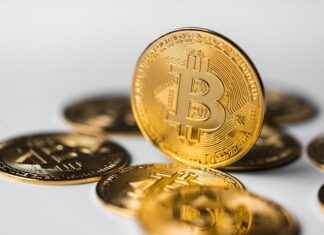 Crypto30x.com Breakdown: What’s Driving the Crypto Hype? Crypto30x.com Breakdown: What’s Driving the Crypto Hype?