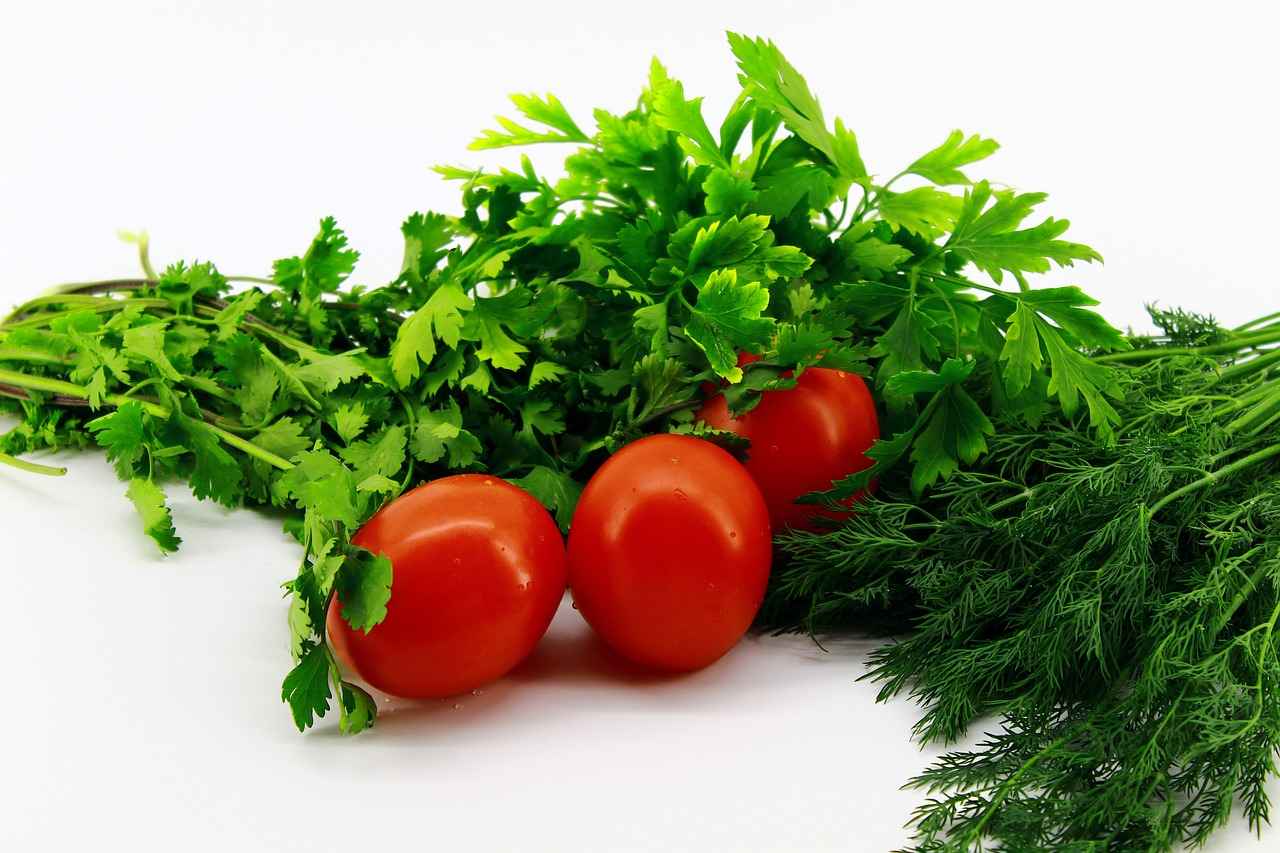 What Are the Best Ways to Use Cilantro?