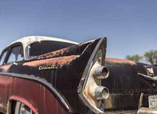 Cup Phone Holder: An Essential Car Accessory You Didn’t Know You Needed Cup Phone Holder: An Essential Car Accessory You Didn’t Know You Needed