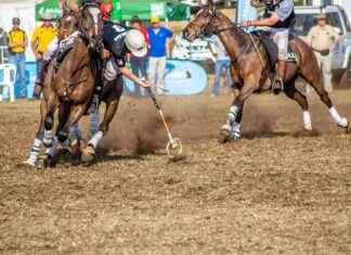 Custom Polo Shirts: Perfect for Work or Play Custom Polo Shirts: Perfect for Work or Play